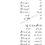 Chicken Crust Pizza Recipe in Urdu