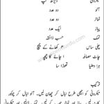 Macaroni Chaat Recipe Recipe in Urdu