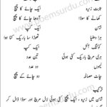 Mirch Pakora Recipe in Urdu