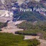 Piyara Pakistan Lyrics - Hina Malik