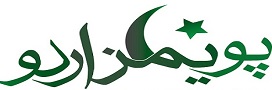 essay in urdu 14 august